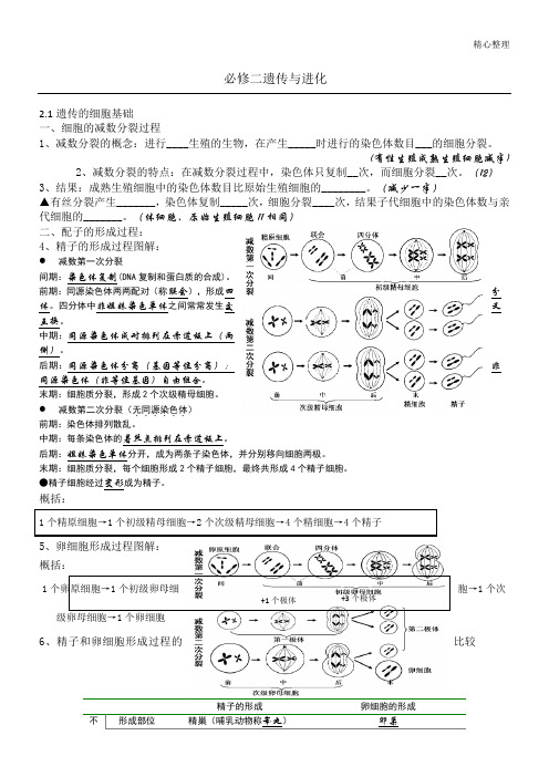 生物必修二知识填空(含答案)