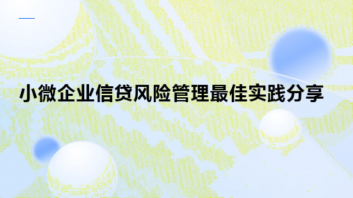 小微企业信贷风险管理最佳实践分享：适用于小微企业信贷人员、风控专家