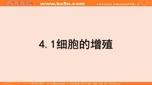 2018年高考生物专题精讲课件：4.1细胞的增殖