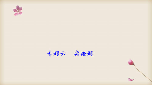 2020中考物理专题复习题型突破-实验题ppt课件