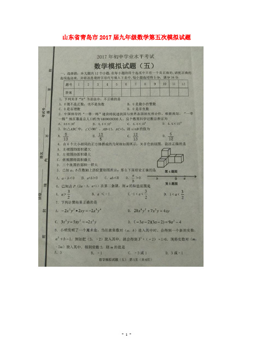 青岛市2017届中考数学第五次模拟试题含答案(扫描版)