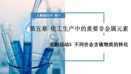 实验活动5  不同价态含硫物质的转化(课件)高一化学(人教版2019必修第二册)