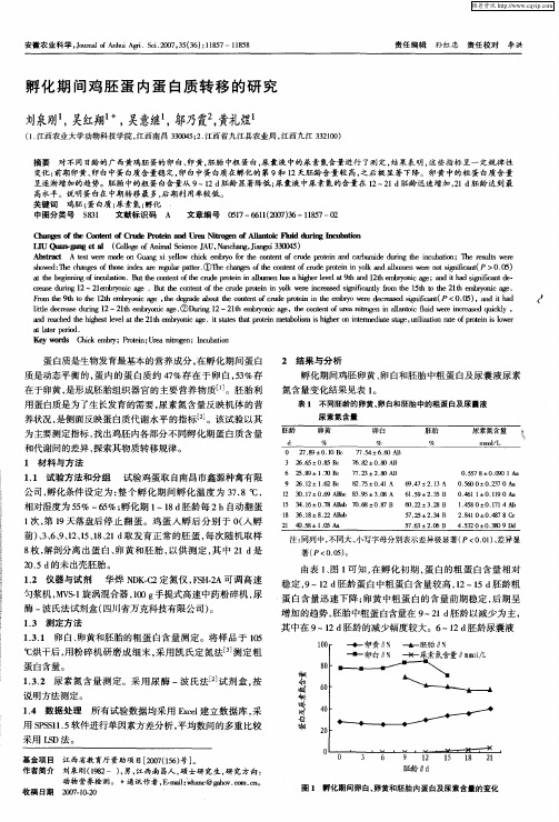 孵化期间鸡胚蛋内蛋白质转移的研究