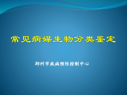 常见病媒生物分类鉴定