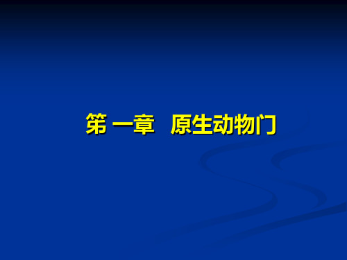 01.原生动物门-PPT资料63页