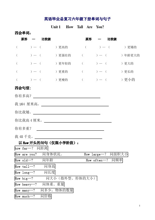 英语毕业总复习六年级下册单词与句子检测练习