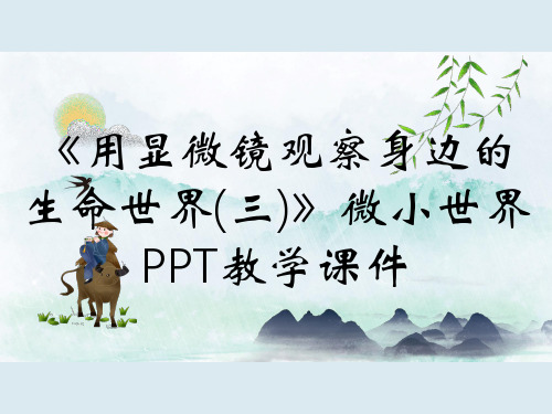 《用显微镜观察身边的生命世界(三)》微小世界PPT教学课件