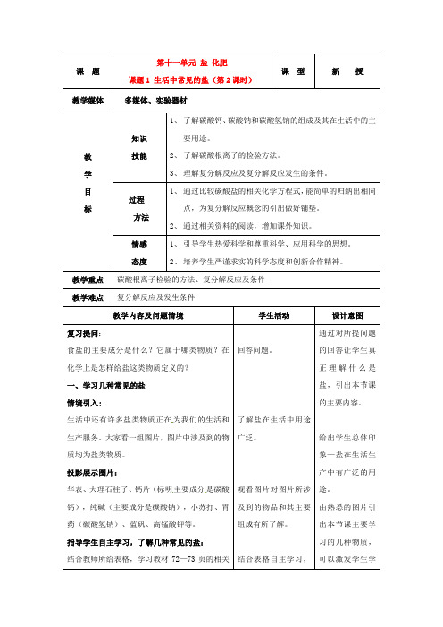 人教版化学九年级下册11.1生活中常见的盐教案(2)