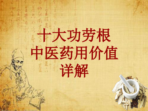 中药学_十大功劳根_药材详解课件模板