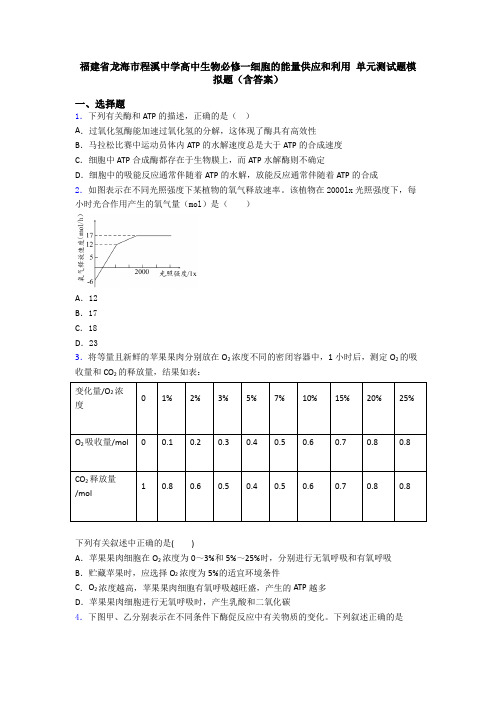 福建省龙海市程溪中学高中生物必修一细胞的能量供应和利用 单元测试题模拟题(含答案)