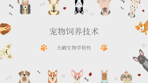 宠物犬的饲养—犬的生物学特征