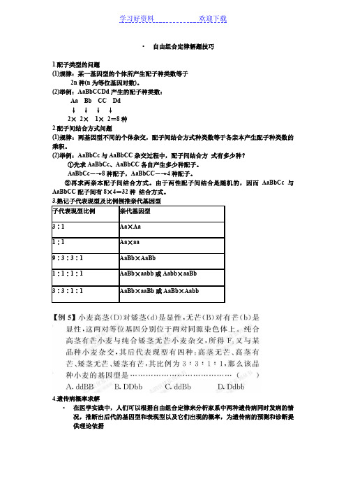 自由组合定律解题技巧