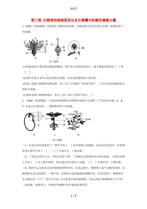 中考生物总复习 第二部分 重点题型探究 题型二 识图题 第三类 生物体的结构层次以及生物圈中的绿色植