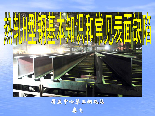 H型钢的尺寸测量和表面缺陷20页PPT文档