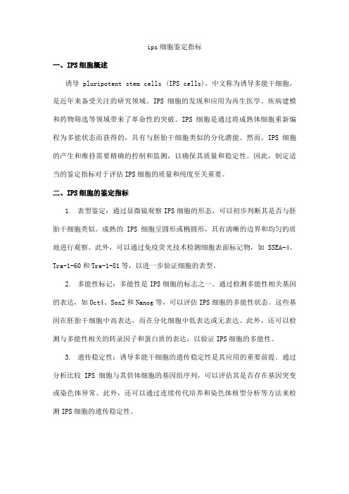 ips细胞鉴定指标