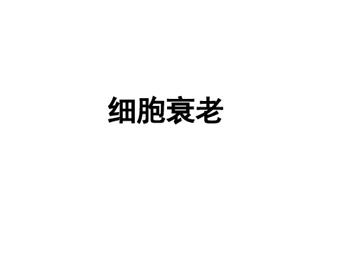 2023届高三生物一轮复习课件细胞的衰老、凋亡与癌变