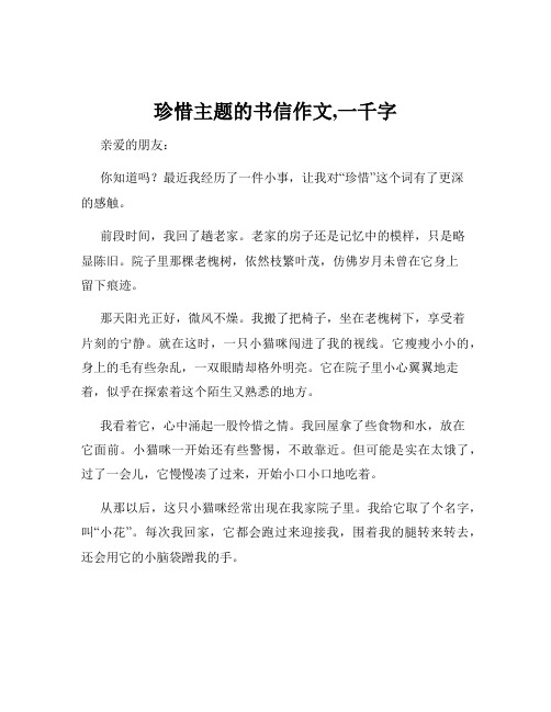 珍惜主题的书信作文,一千字