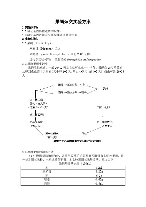 上海交通大学遗传学下午3组果蝇杂交实验