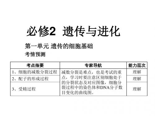 高二生物遗传的细胞基础