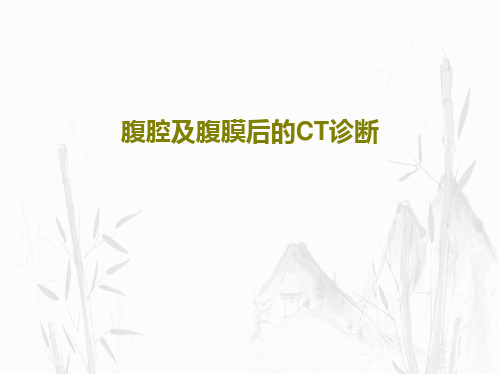腹腔及腹膜后的CT诊断共54页文档