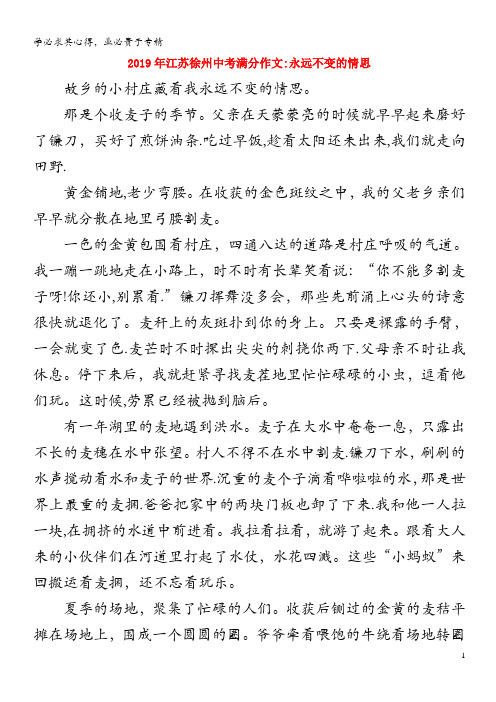 江苏省徐州市年中考语文满分作文永远不变的情思