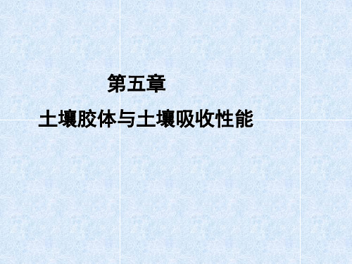 土壤胶体对阴离子的吸附与交换