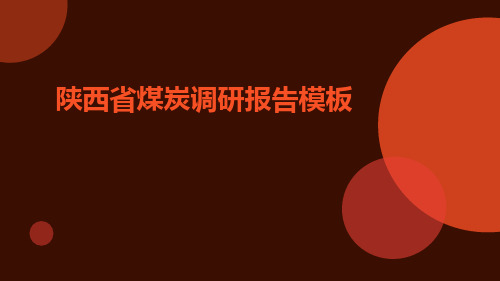 陕西省煤炭调研报告模板