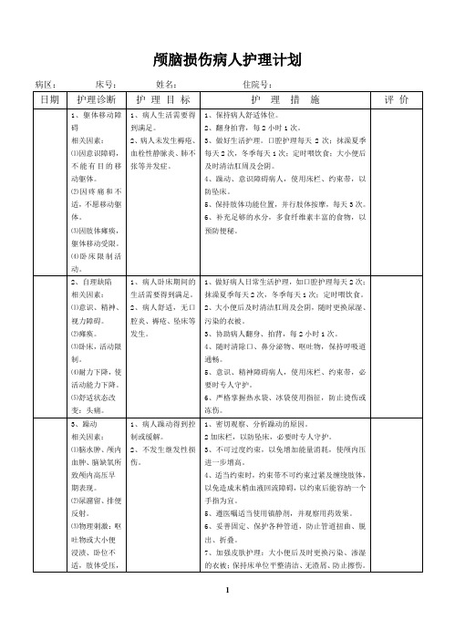 颅脑损伤病人标准护理计划