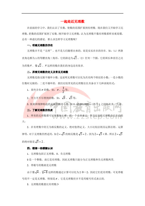 七年级数学上册 2.2 有理数与无理数 一起走近无理数素材 (新版)苏科版