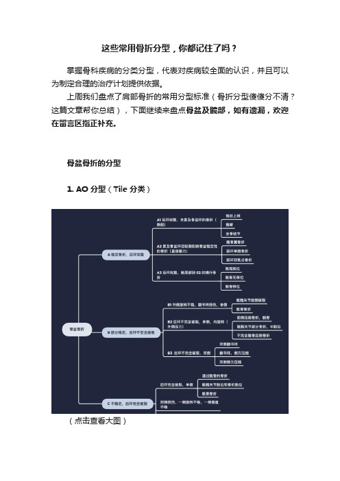 这些常用骨折分型，你都记住了吗？