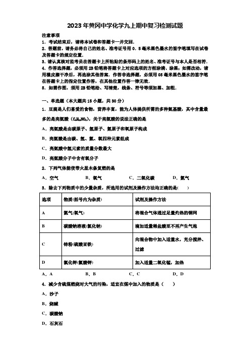 2023年黄冈中学化学九上期中复习检测试题含解析