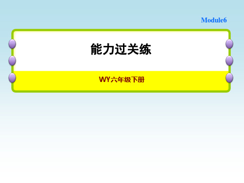 外研版六年级下册英语Module 6 模块复习检测 能力过关练