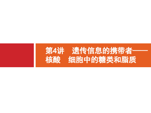 2020版广西高考生物人教一轮复习课件：第1单元 第4讲 遗传信息的携带者——核酸 细胞中的糖类和脂质 