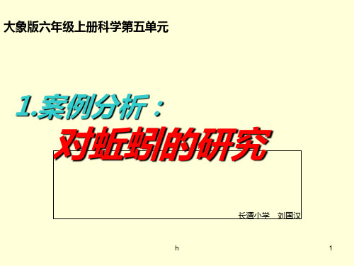 2016秋大象版科学六上5.1《案例分析：对蚯蚓的研究》ppt课件