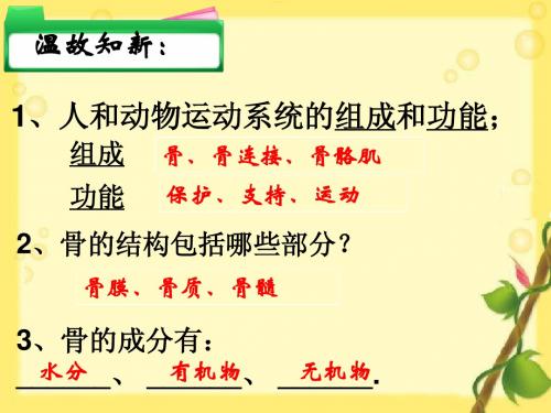 北师大版生物八年级上册15章2节动物运动的形成二课时精品课件