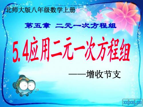 5.4应用二元一次方程组——增收节支