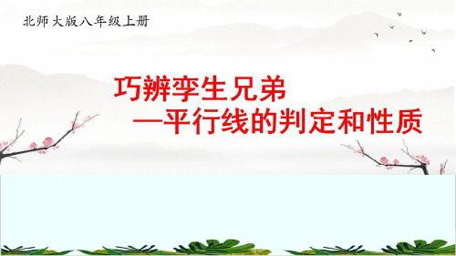 北师大版初中数学八上复习、回顾与思考精品课件PPT