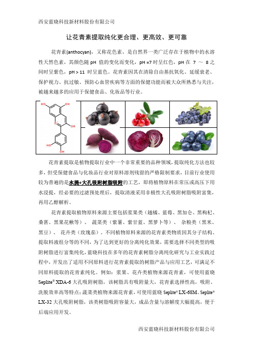 花青素提纯方案--树脂吸附法