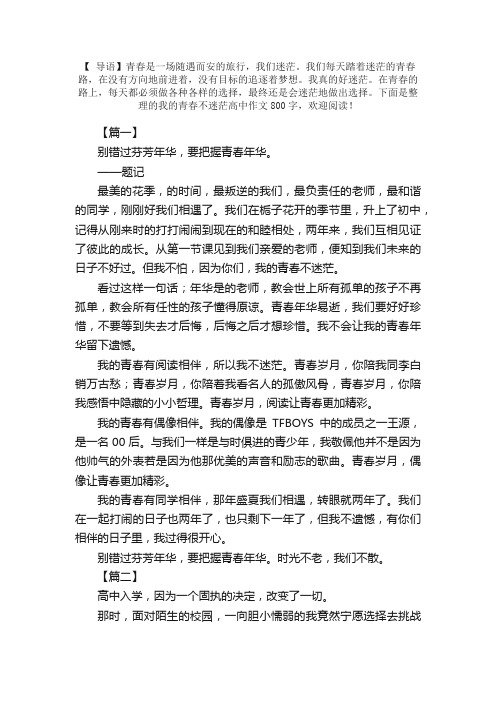 我的青春不迷茫高中作文800字