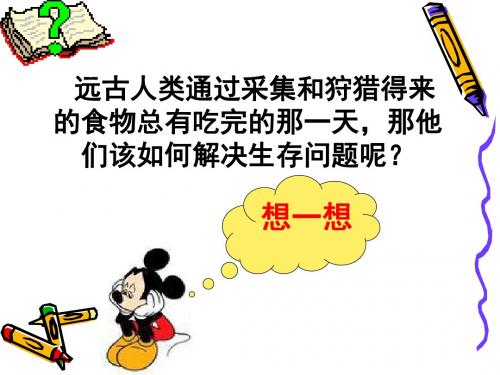 星罗棋布的氏族聚落 PPT课件14 北师大版