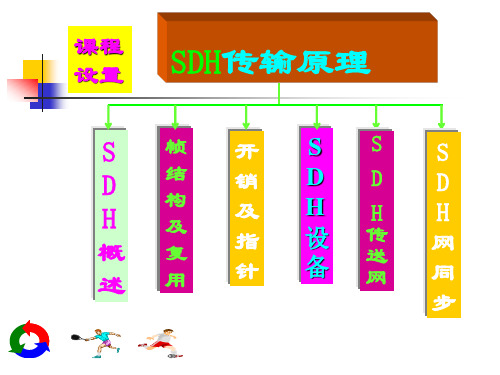 SDH第1、2章
