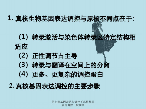 第七章基因表达与调控下真核基因表达调控一般规律