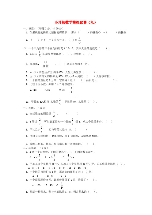 2011年小升初数学模拟试卷(九)(无答案)