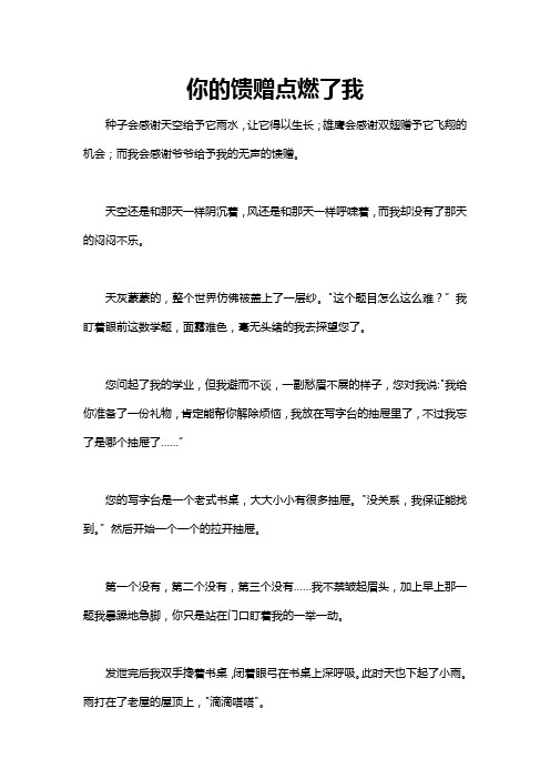 您的馈赠点燃了我作文850字