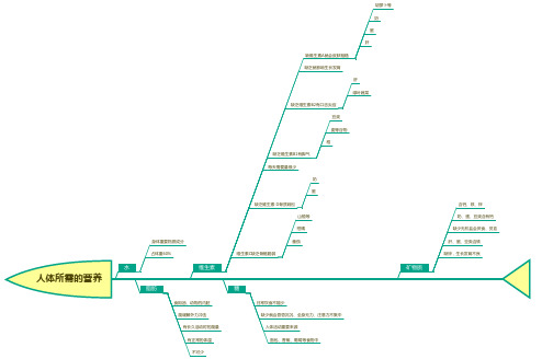 人体所需的营养思维导图