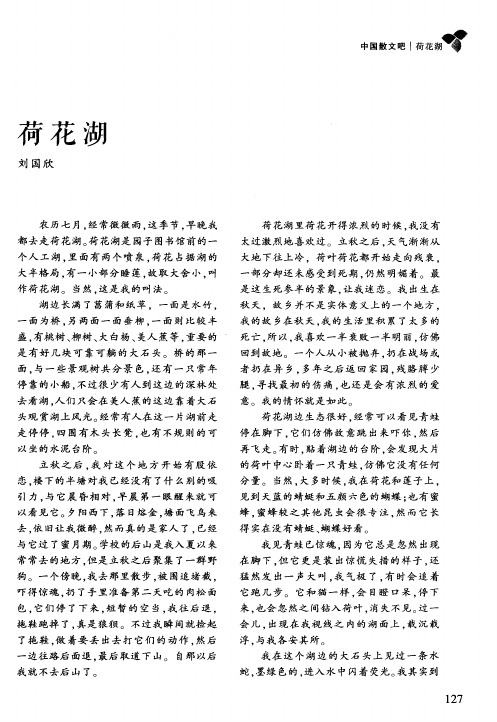 荷花湖