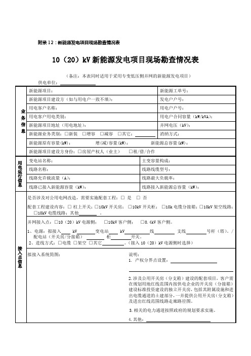 新能源发电项目现场勘查情况表