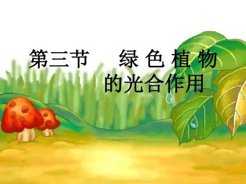 绿色植物的光合作用PPT课件 济南版