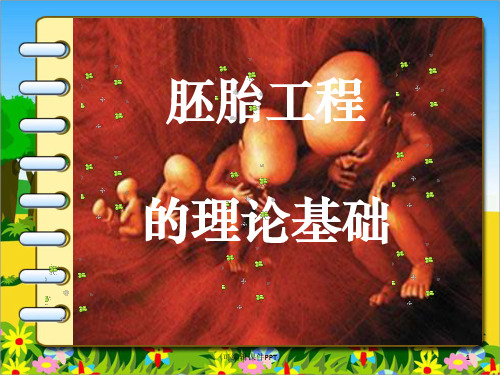 胚胎工程的理论基础PPT课件