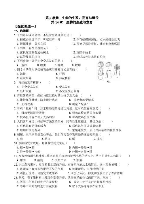 2012年初中生物中考最新资料(强化训练 一)